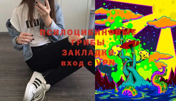 не бодяженный Карпинск