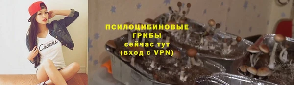 прущие крисы Касимов