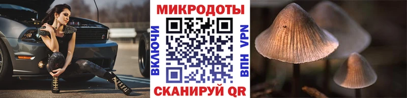 Псилоцибиновые грибы Psilocybine cubensis Сосновка
